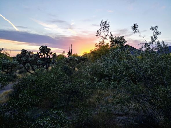 Sunset in the Desert