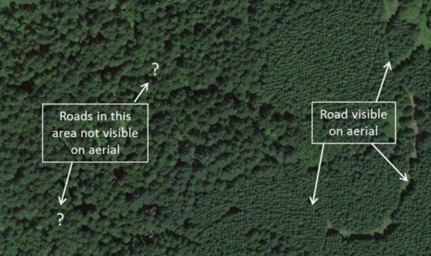 Aerial Photo of Forest